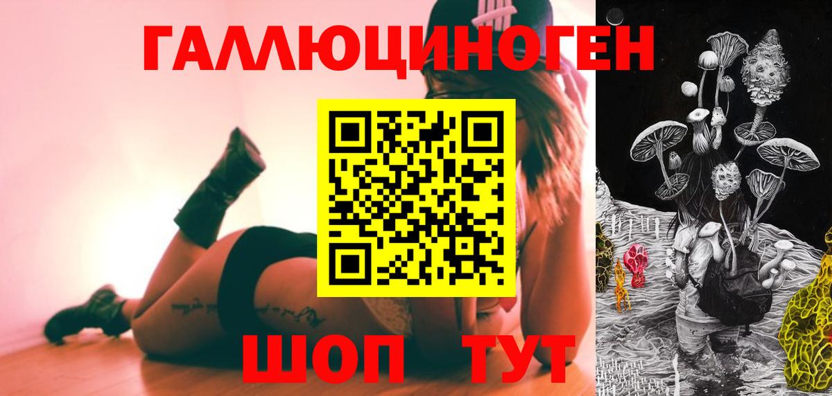 Галлюциногенные грибы прущие грибы  Вход с VPN  Галлюциногенные грибы мицелий  Гусев 